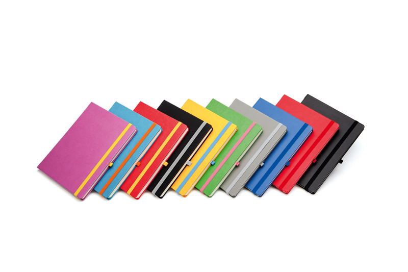 Agenda notebook pro 13 x 21 cm 192 pagini